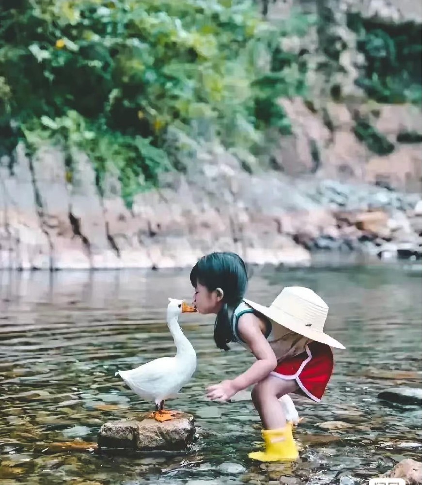 成都捐卵中心：孕中期补充营养吃什么